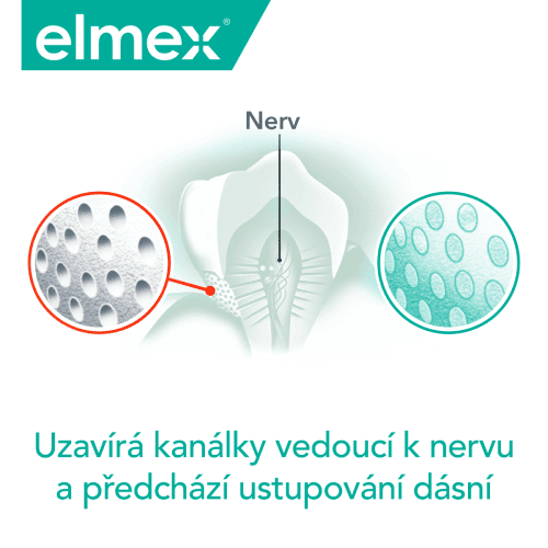 Schéma ukazující uzavírání kanálků vedoucích k nervu v zubu a prevence ustupování dásní s logem elmex .